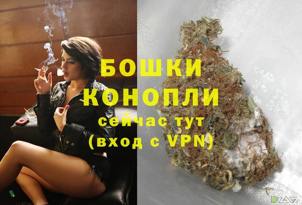 гидра Горно-Алтайск