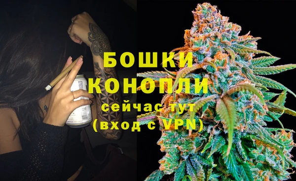 гидра Горно-Алтайск